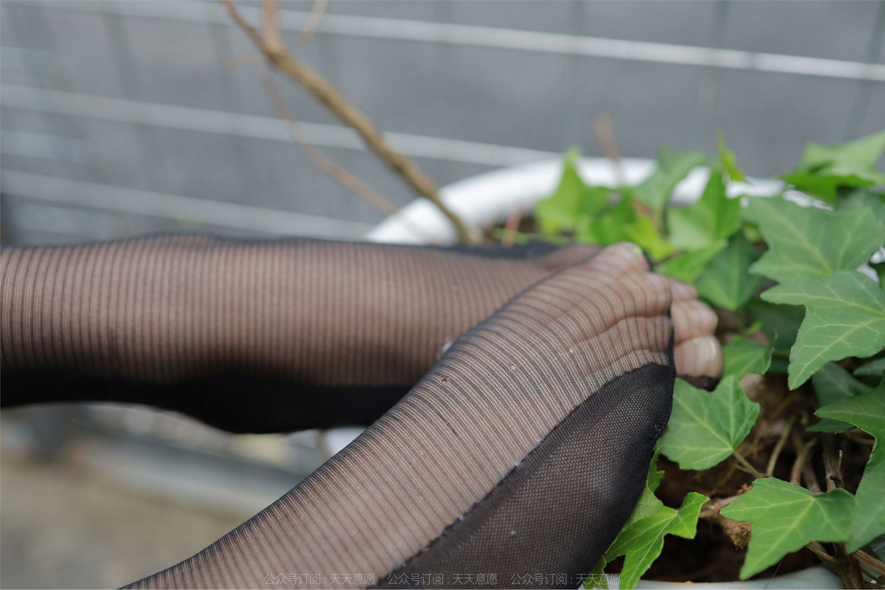 IESS异思趣向  2022.05.23 丝享家 1096：婉萍《黑丝女司机》